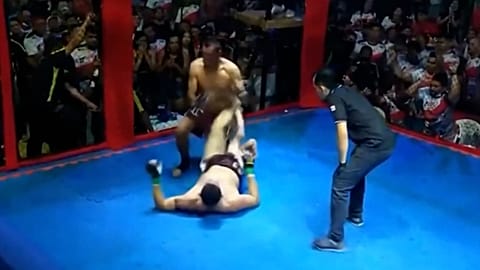 Brezilyalı politikacılar meydan okuma sonrası ringde dövüştü