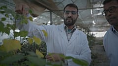 Landwirtschaft in Marokko: nachhaltig und innovativ