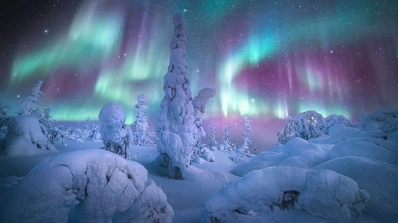 “Forest of the Lights”, Alaska, USA.