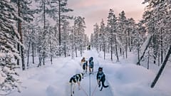 Lapland tourism had almost recovered to pre-pandemic levels.