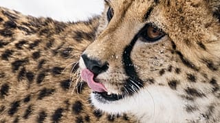 صورة ل فهد في كندا 