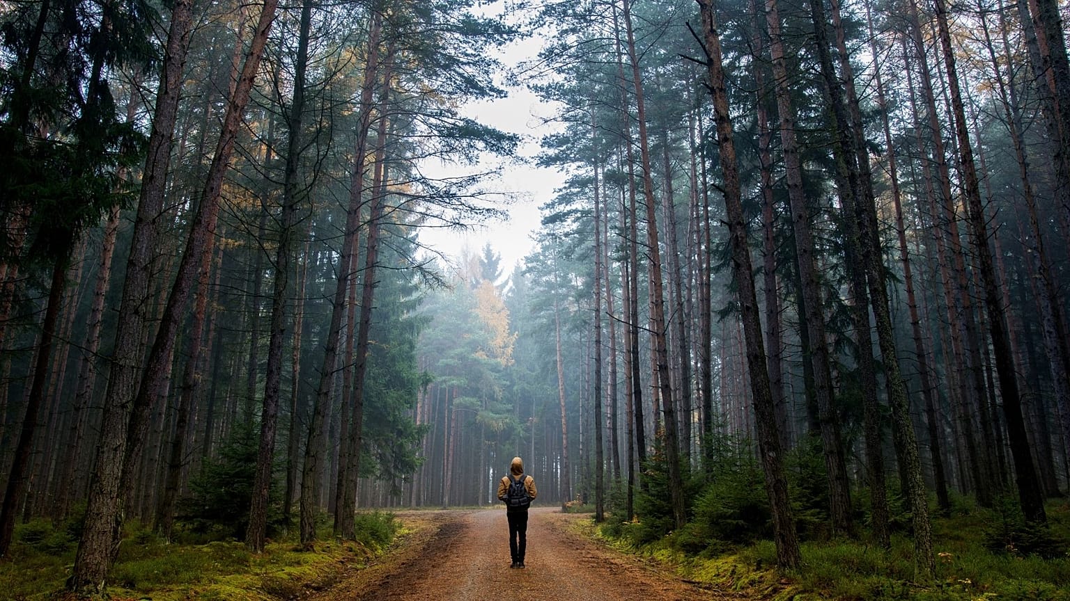 Some people like the feeling of getting lost on holiday.