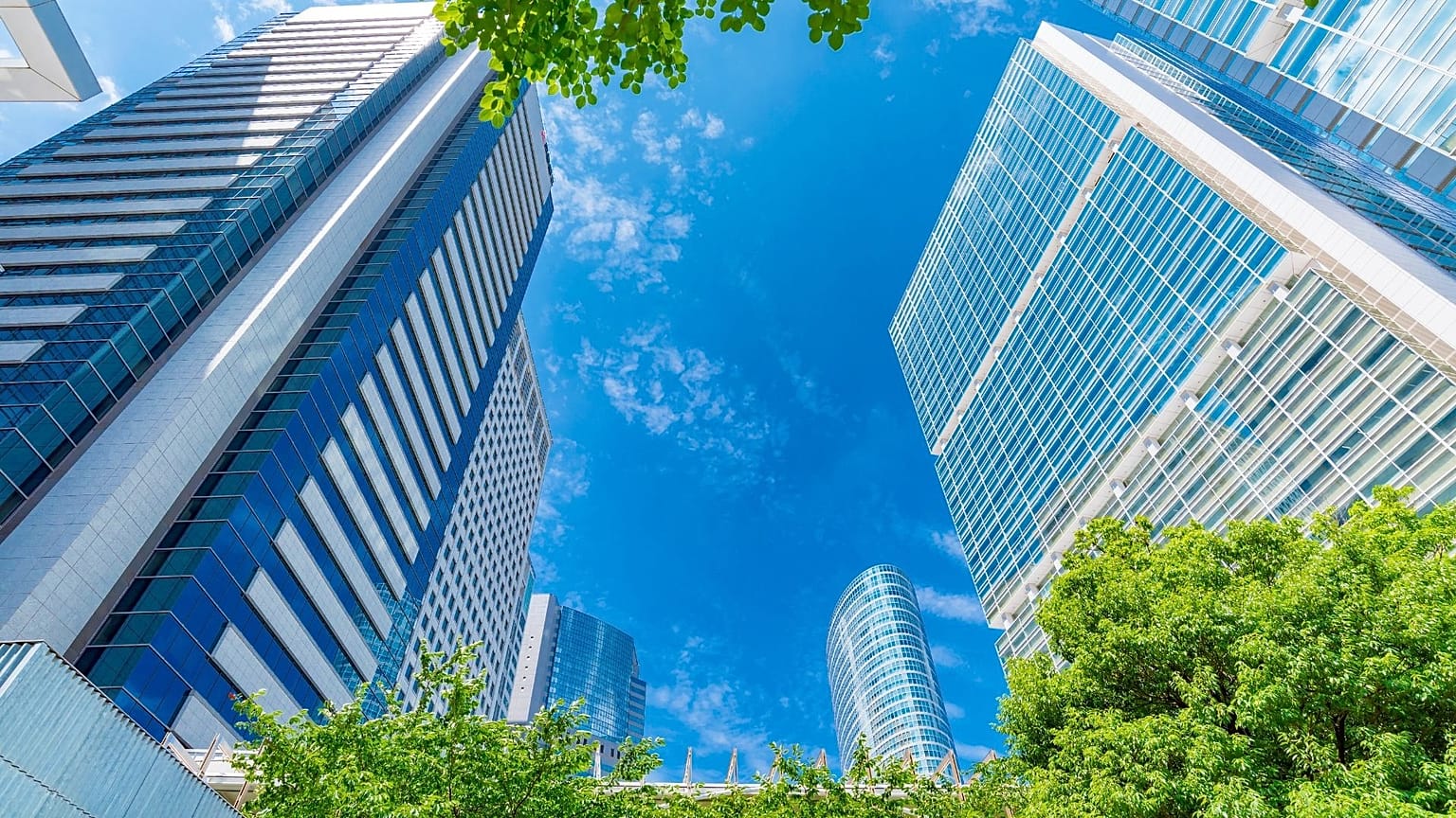 5 tips to avoid greenwashing as a business. 