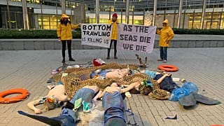 Ocean Rebellion Brussels