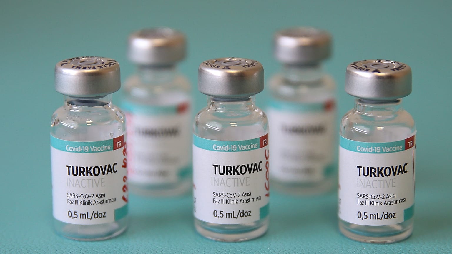 Turkovac aşısı