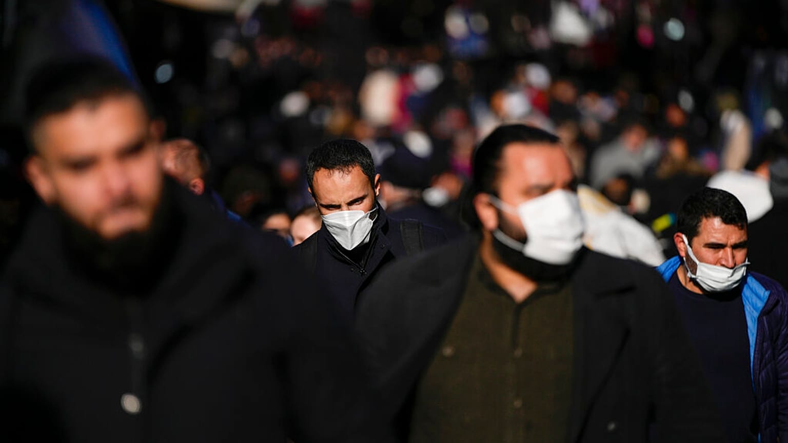 Turkey virus
