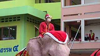 Mahout riding an elephant with students watching from the building