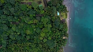 La cárcel infernal y las serpientes venenosas de la isla colombiana de La Gorgona