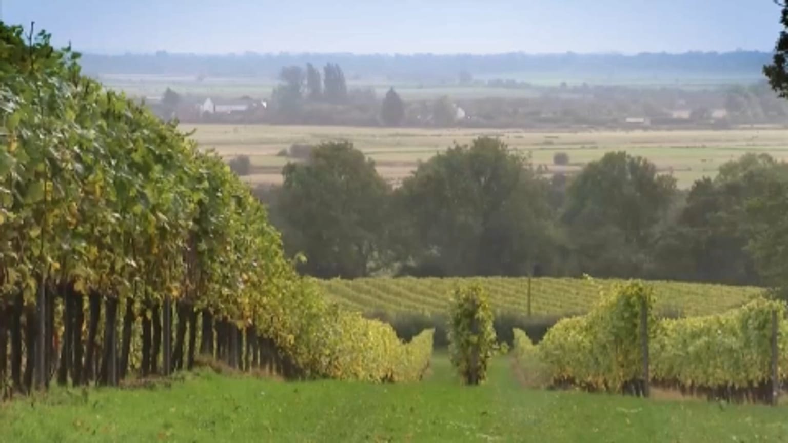 Lo spumante inglese conquista il mercato dei vini. Bollicine made in Uk per brindare al nuovo anno