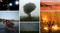 We take a look at 20 of the most striking images from 2021 