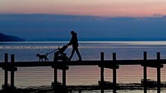 Vater mit Kinderwagen am Starnberger See