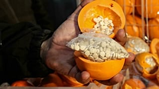 Captagon pills