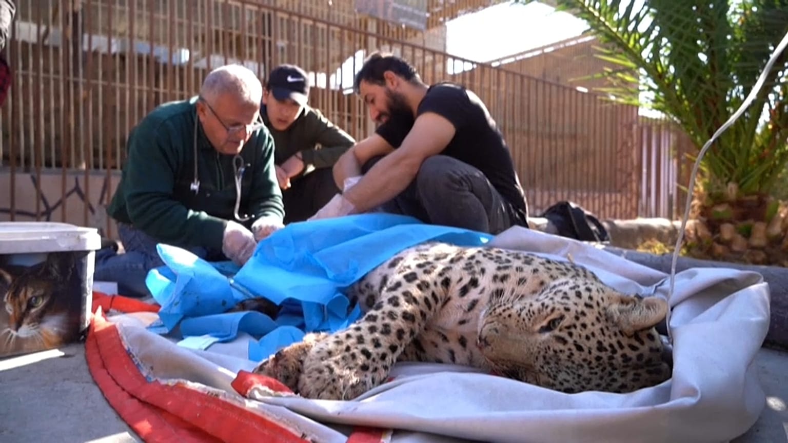  العراق