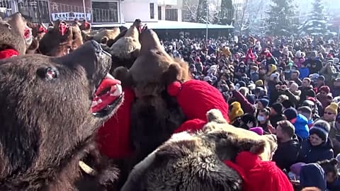 Romanians dressed as bears try to ward off evil
