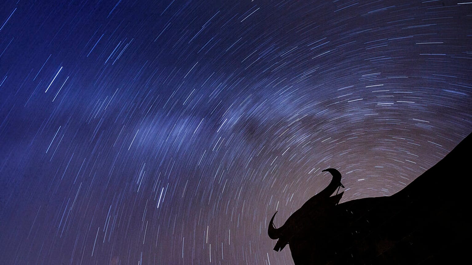 Perseid meteor yağmuru