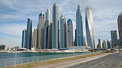 الصورة من إمارة دبي