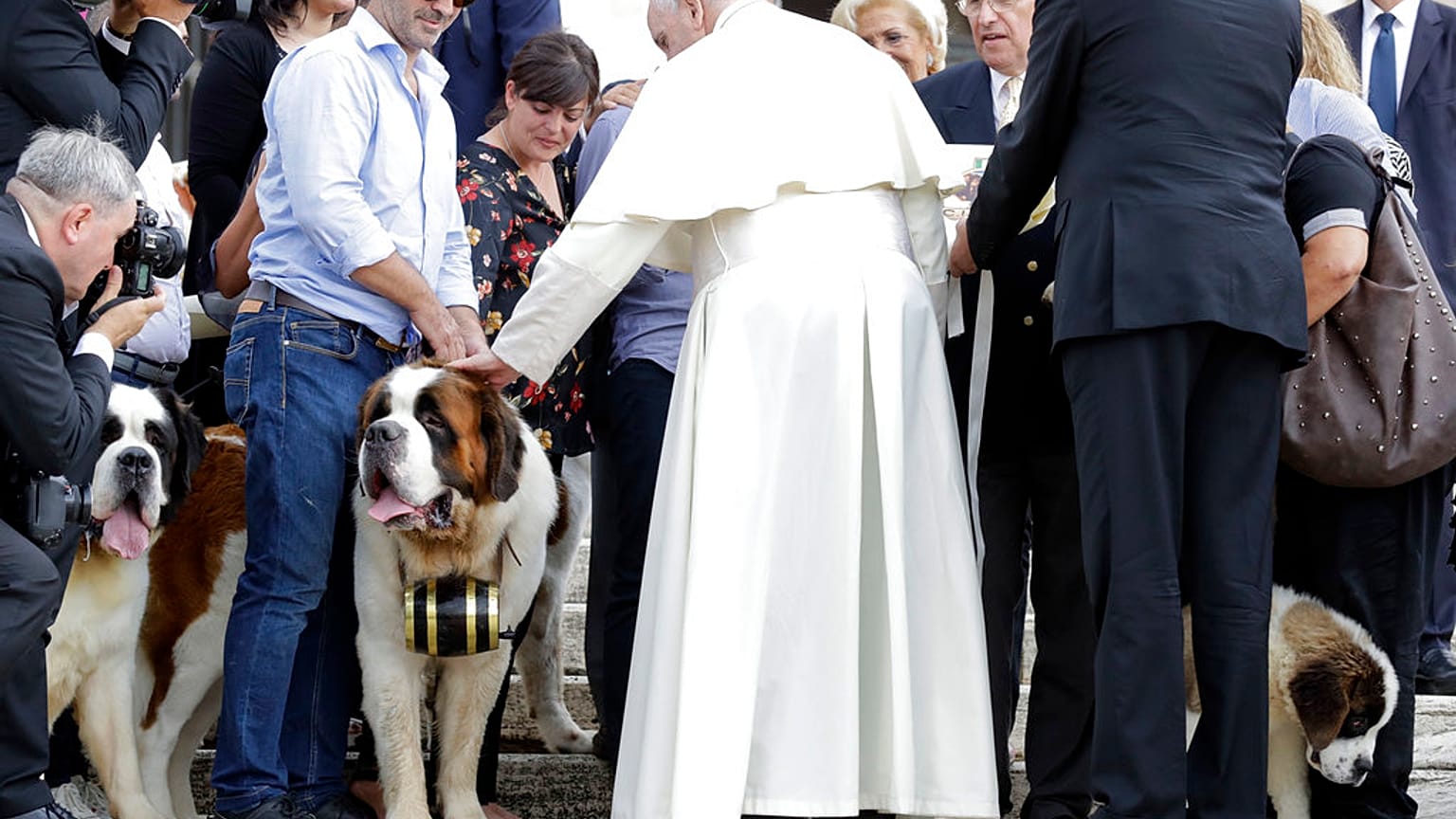 Papa Francis çocuk yerine evcil hayvan sahibi olmayı eleştirdi