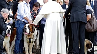 Papa Francis çocuk yerine evcil hayvan sahibi olmayı eleştirdi