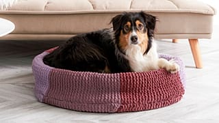Crafts-Yarn