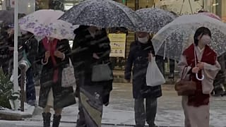 تصاویری از توکیو و اولین برف زمستانی در سال جدید