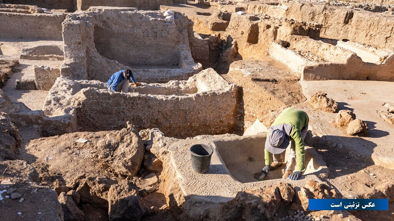 Israel Antiquities Authority employees