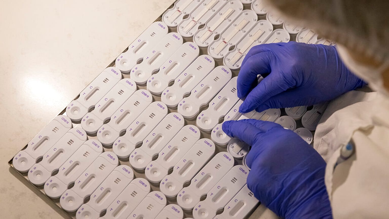 Covid-tesztek az NG Biotech egyik központjában