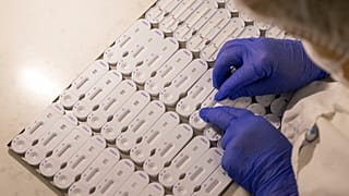 Covid-tesztek az NG Biotech egyik központjában