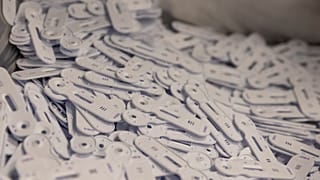 صناعة اختبارات الكشف عن كوفيد-19 من طرف NG Biotech، الشركة الناشئة في غرب فرنسا.