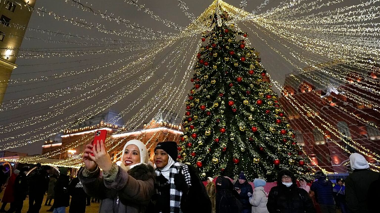 Una segunda vida para los árboles de Navidad