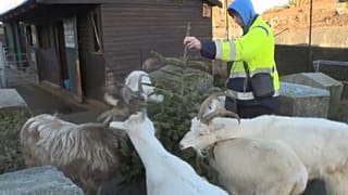 Kentish Town City Farm 