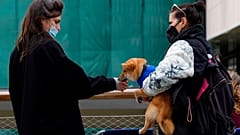 Zypern hat seine Einreiseregelungen verschärft nachdem mehrere neue Coronavirus-Infektionen offenbar von Touristen ausgingen. 