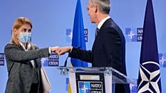 Ukraine-Krise: NATO wartet ab