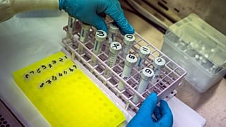 في أحد المختبرات في جنوب إفريقيا، حيث سجل متحور أوميكرون للمرة الأولى 