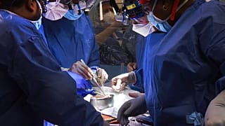 Homem recebe primeiro transplante de coração de porco