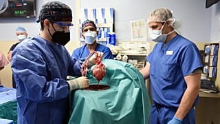 Einsetzung eines Schweineherzens eines zuvor gentechnischen veränderten Tieres