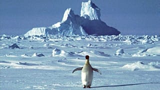 L'âge de (la) glace : les chercheurs prélèveront de la glace vieille de 1,5 million d'années