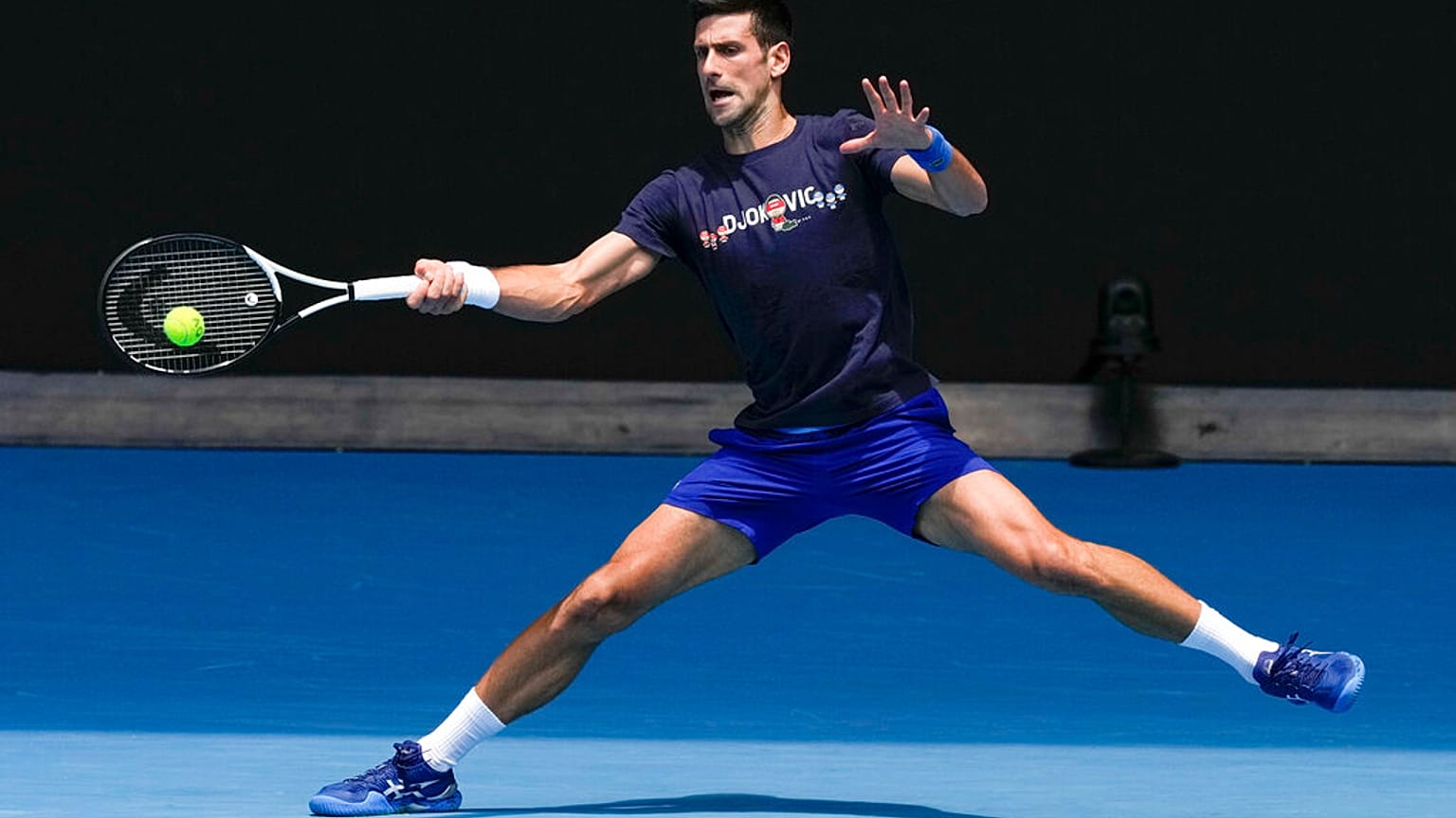 Novak Djokovic se arriesga a perder nuevamente su visado tras admitir sus errores
