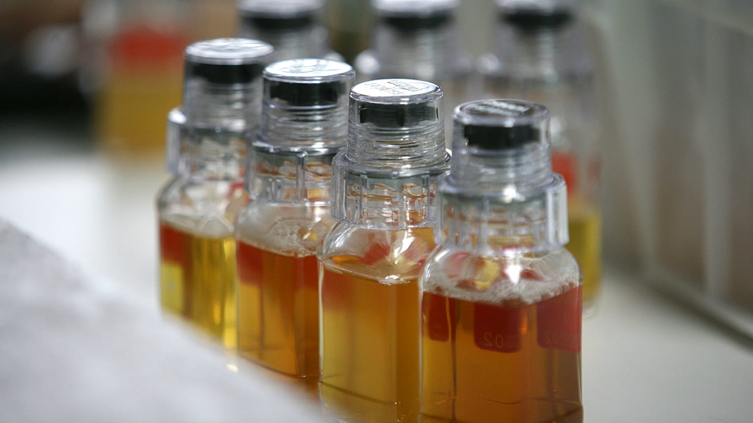 Illustrationsfoto: Urinproben in der Chinesischen Anti-Doping-Agentur in Peking (2008)