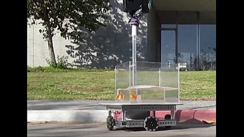 Израильские ученые научили золотую рыбку водить автомобиль
