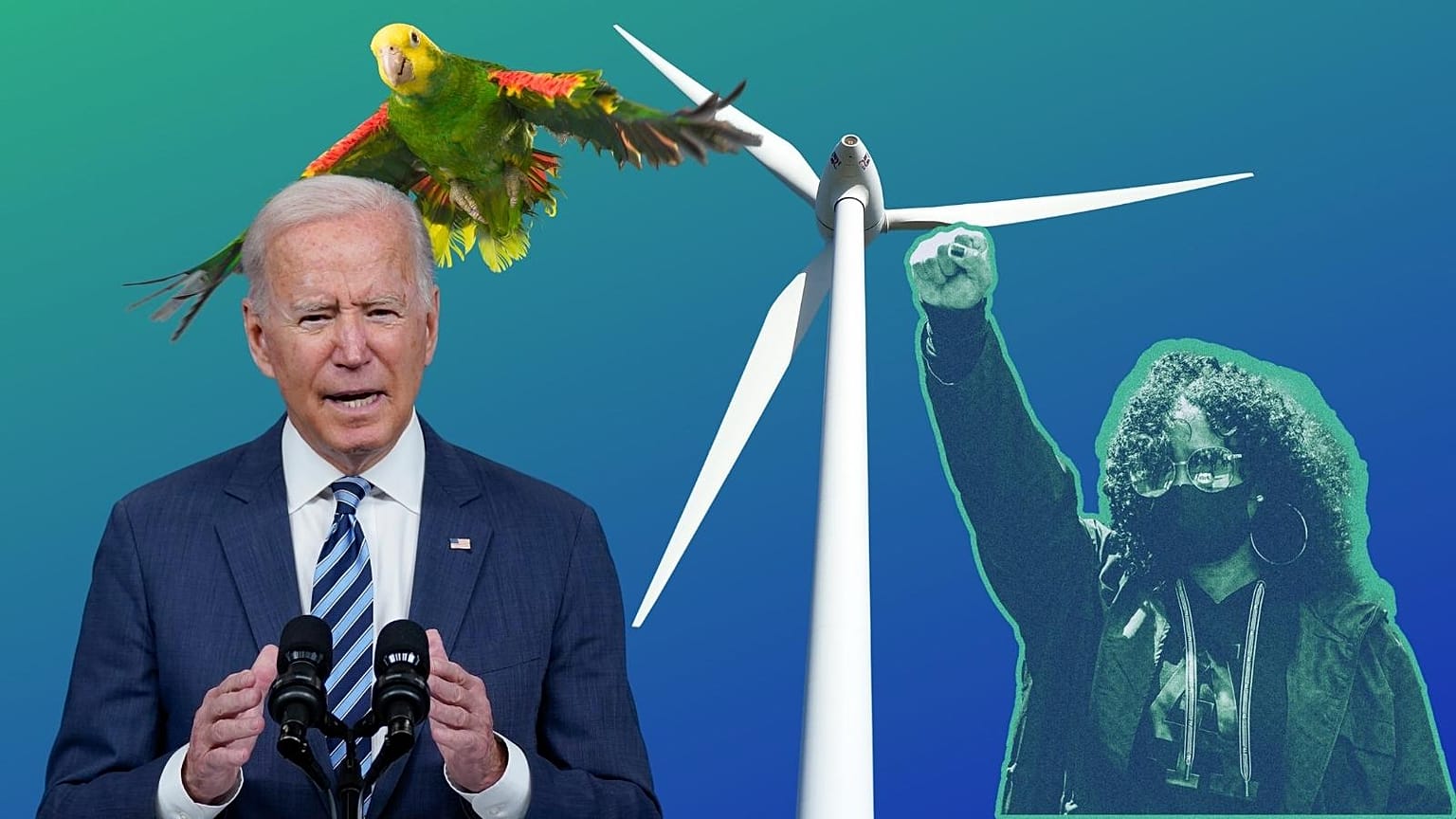 From the biodiversity crisis to Biden's eco promises: what to watch out for in 2022.