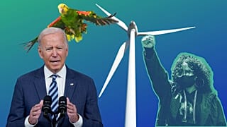 From the biodiversity crisis to Biden's eco promises: what to watch out for in 2022.