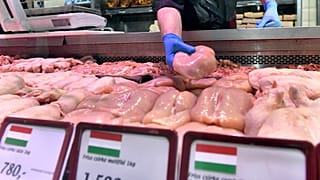 Húspult a budaörsi Tesco-ban 2020. július 3-án