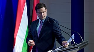 Gulyás Gergely 
