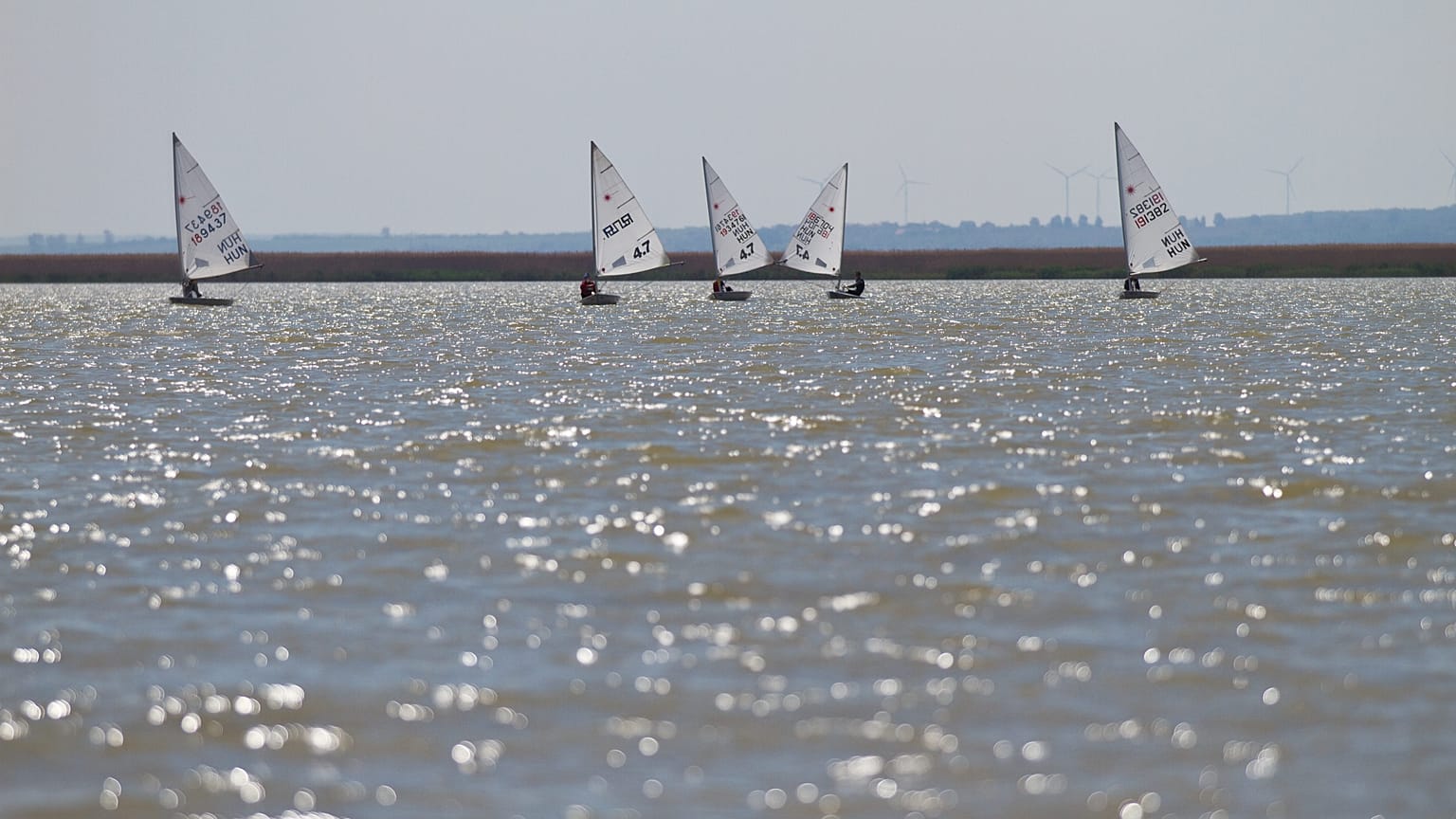 Vitorlásverseny a Fertő-tavon 2012-ben