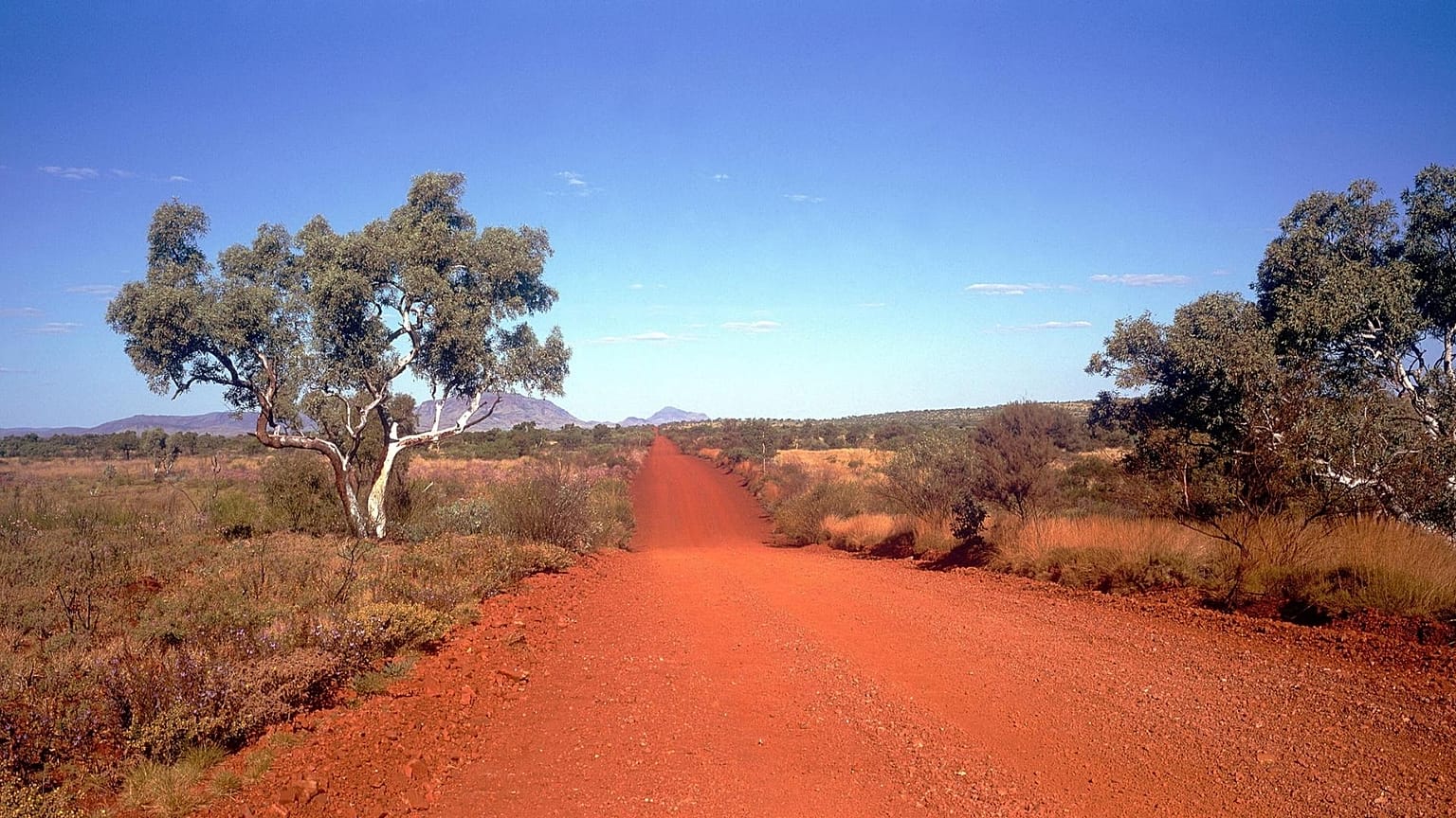 Parts of Australia's Pilbara region reached more that 50C this week. 