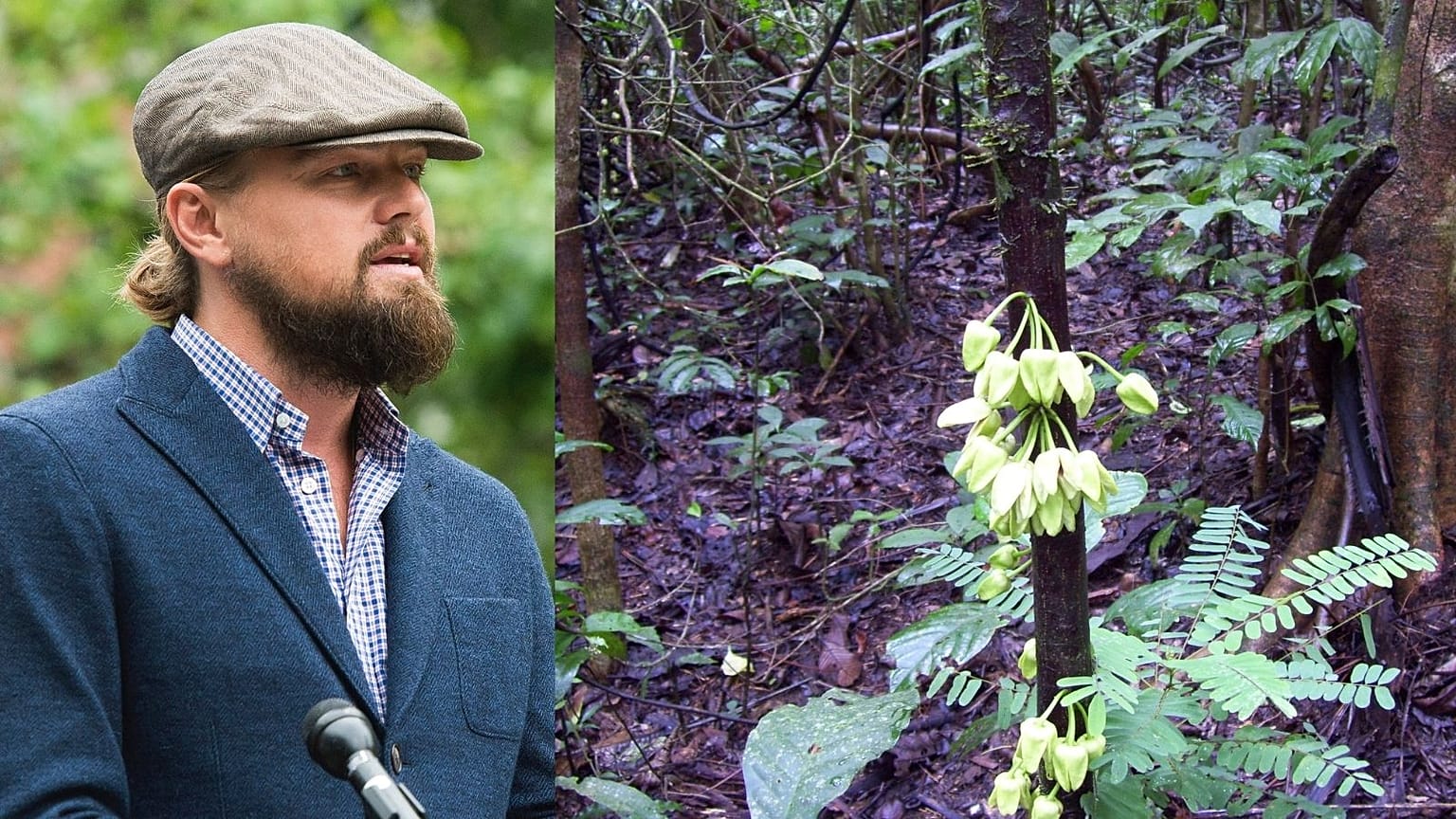 Leo is well known for championing environmental causes.