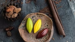 Cacaology
