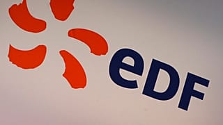 Fransız enerji şirketi EDF