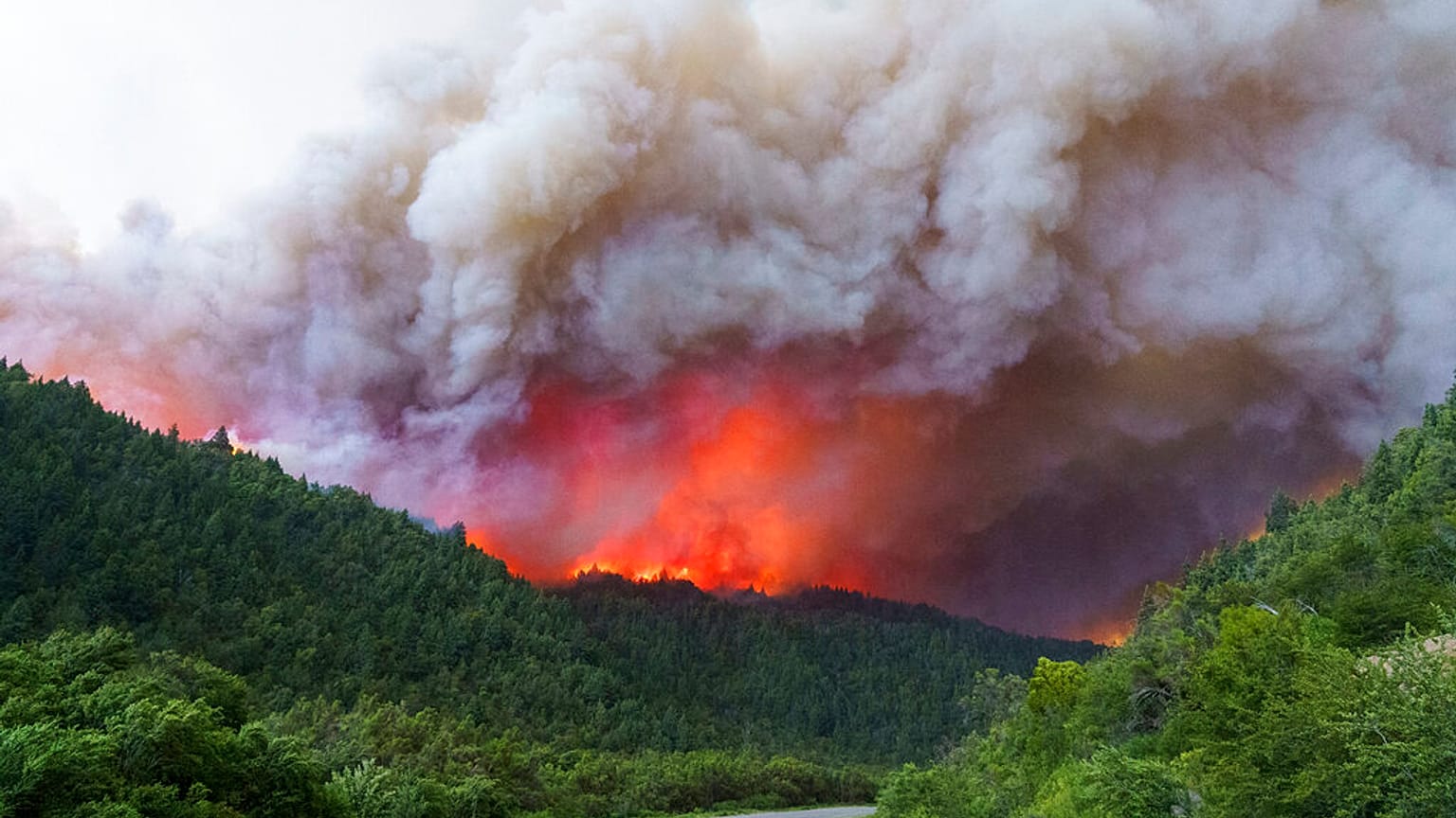 Argentina fires