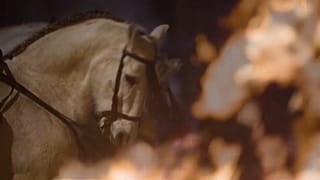 Un caballo que participa en la noche de las Luminarias